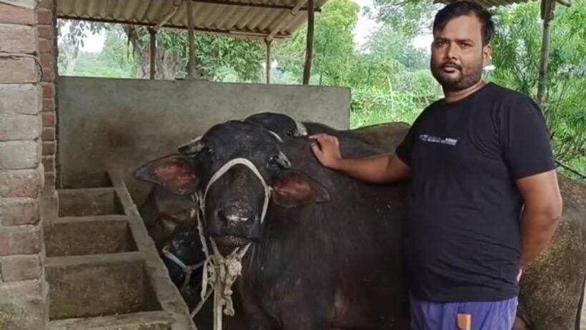 CA की नौकरी छोड़ी, अब व्यवसाय करके कमा रहे हैं लाखों