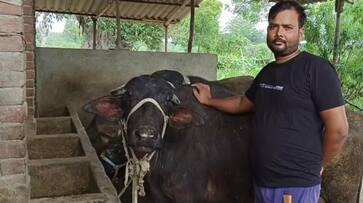 success story of heramb dixit chartered accountant turned businessman during lockdown in raebareli ZKAMN