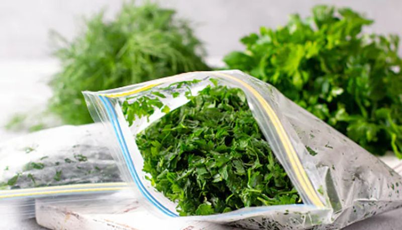 Surprising Health Benefits Of Coriander Leaves azn 