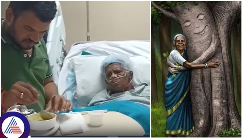 Saalumarada Thimmakka is healthy Do not spread speculations Adopted son Umesh request sat