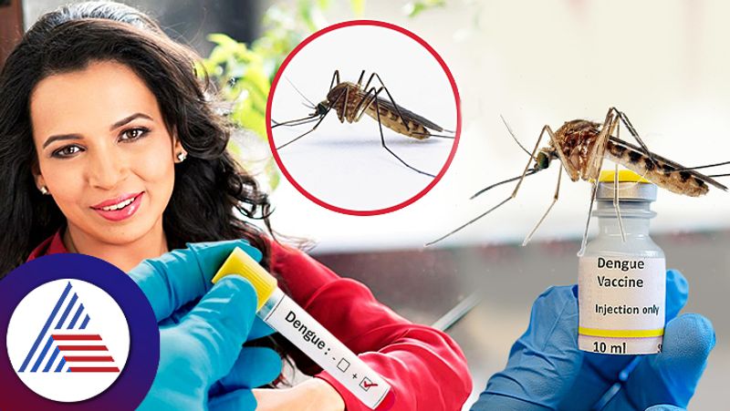 Amid rising dengue cases in Bengaluru here's how you can maintain healthy platelet count skr