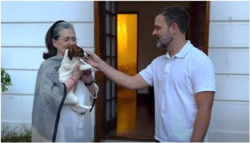 AIMIM leader on Rahul Gandhi naming pet dog 'Noorie' prm 