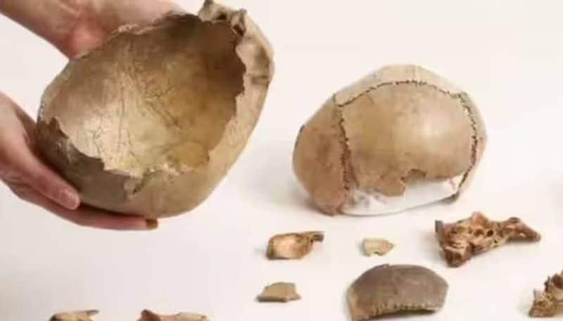 cannibalism 15000 years ago Europeans might have eaten dead people says study rlp