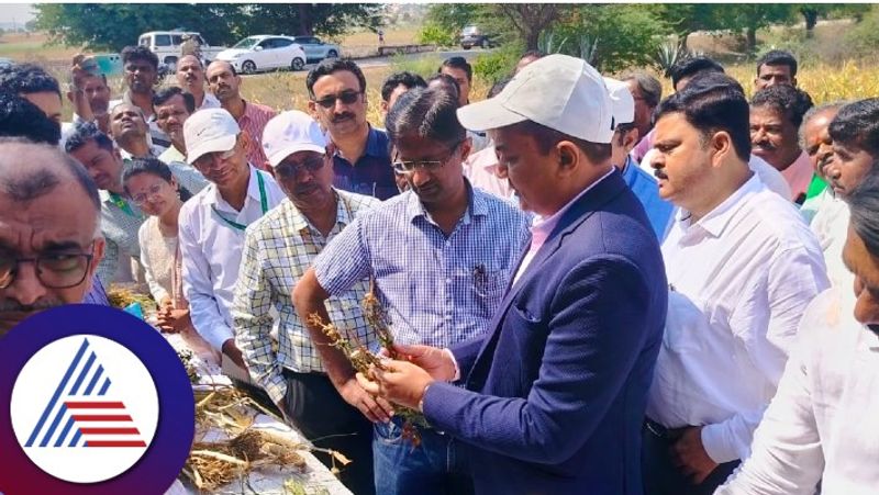 Central Govt drought study team visit crop Inspection at vijayanagar rav