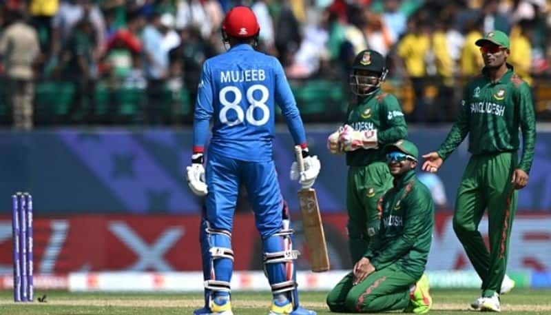 ICC World cup 2023: Bangladesh beats Afghanistan, Mehidy Hasan Miraz CRA 