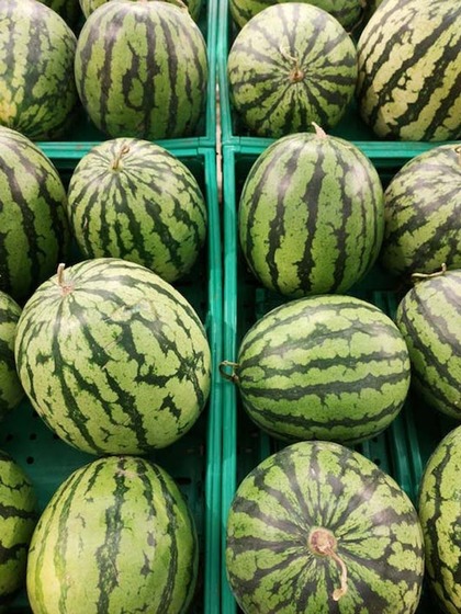 Watermelon