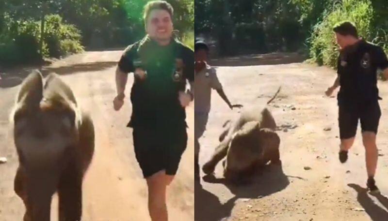 baby elephant running with its keepers video going viral hyp