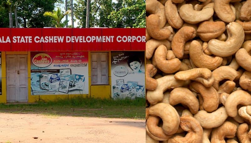 Cashew development corporation makes unexpected benefit during onam season 2023 plans to enter online market etj