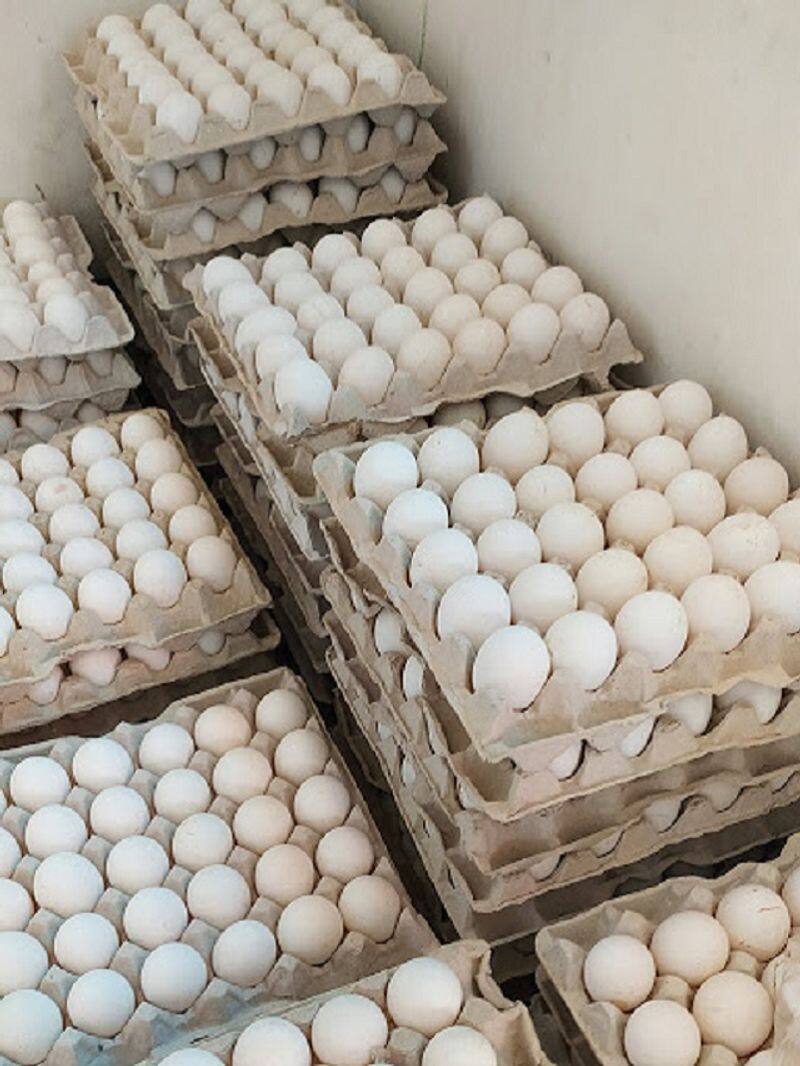 Shock for egg lovers! Purchase price reached an all-time high! sgb