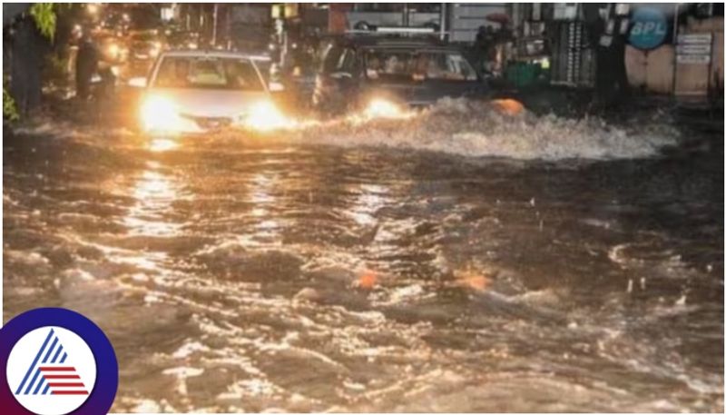 Bengaluru: 1000 trees fall in 7 days as heavy rains wreaks havoc, BBMP set to auction trunks from spot vkp