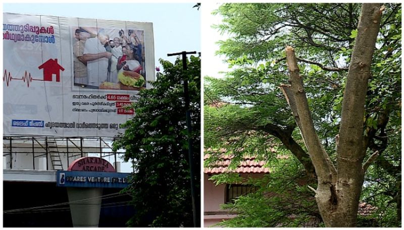 case was filed on the head teacher's complaint of cutting a branch of a tree in the school sts