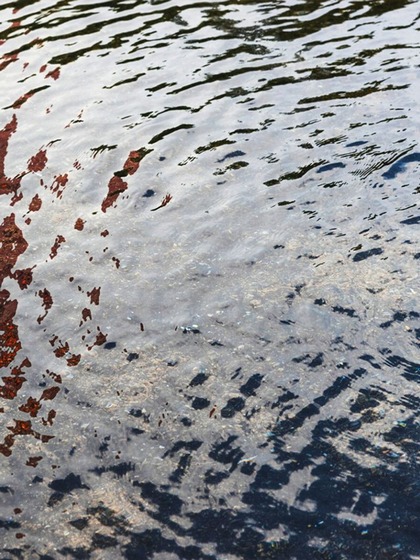 Eliminate Standing Water