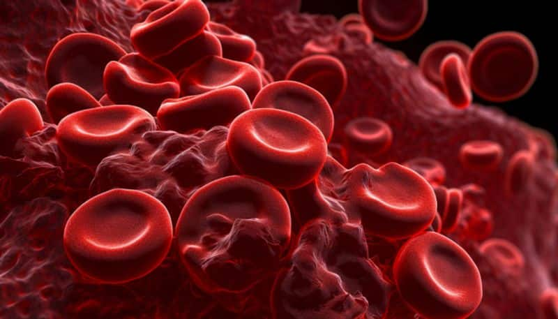 Foods that Increase Platelet Count rsl