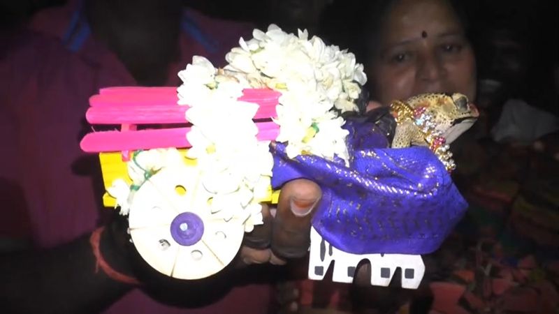 Villagers married frogs to pray for rain in Coimbatore vel