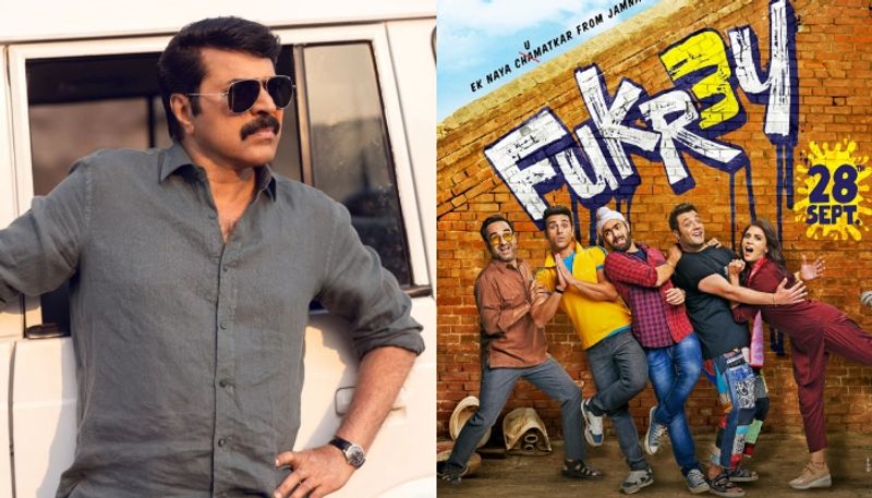 fukrey 3 budget and box office Richa Chadha Pulkit Samrat Pankaj Tripathi Excel Entertainment nsn