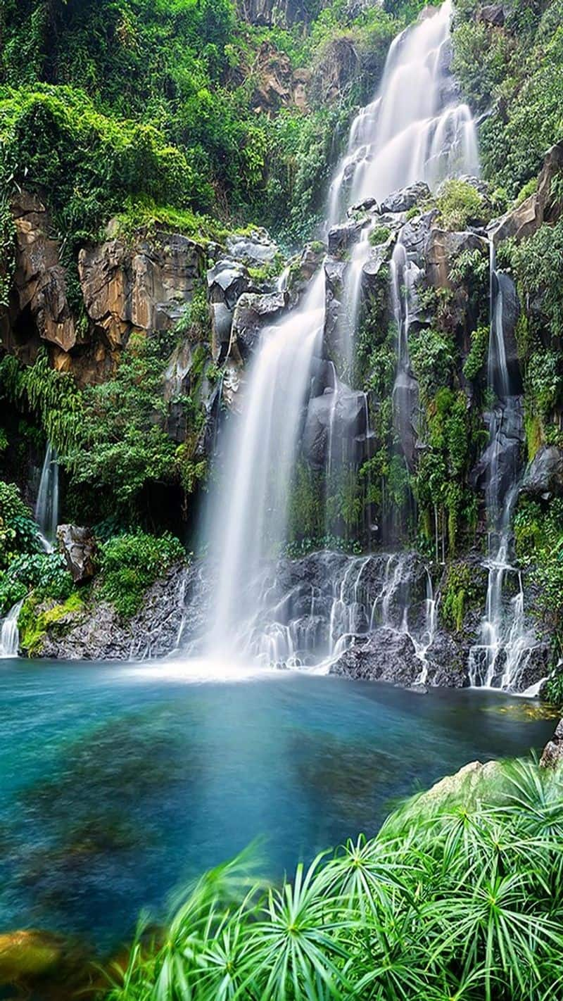 top 10 beautiful waterfalls in india kxa 