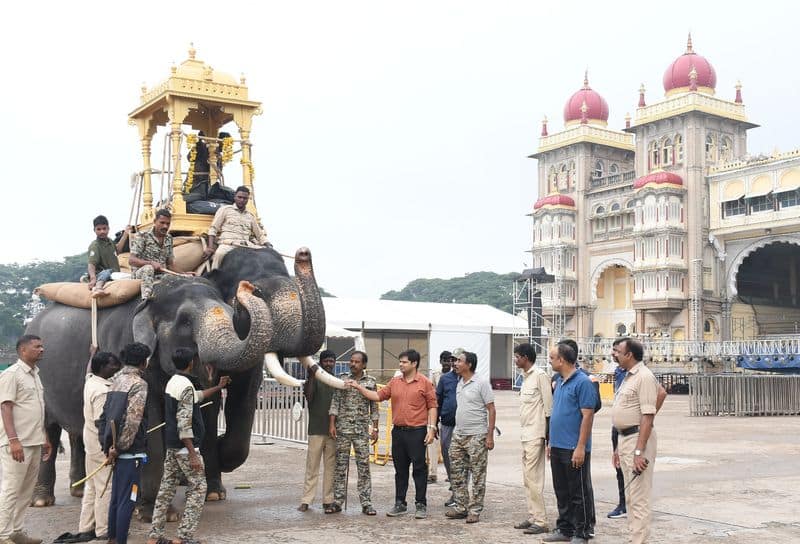 Dhananjaya trains  for carrying a wooden howdah  snr