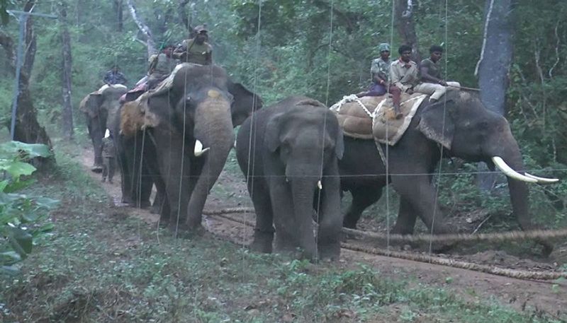 Environmentalists Strongly Opposed the Muthodi Elephant Camp in Chikkamagaluru grg 