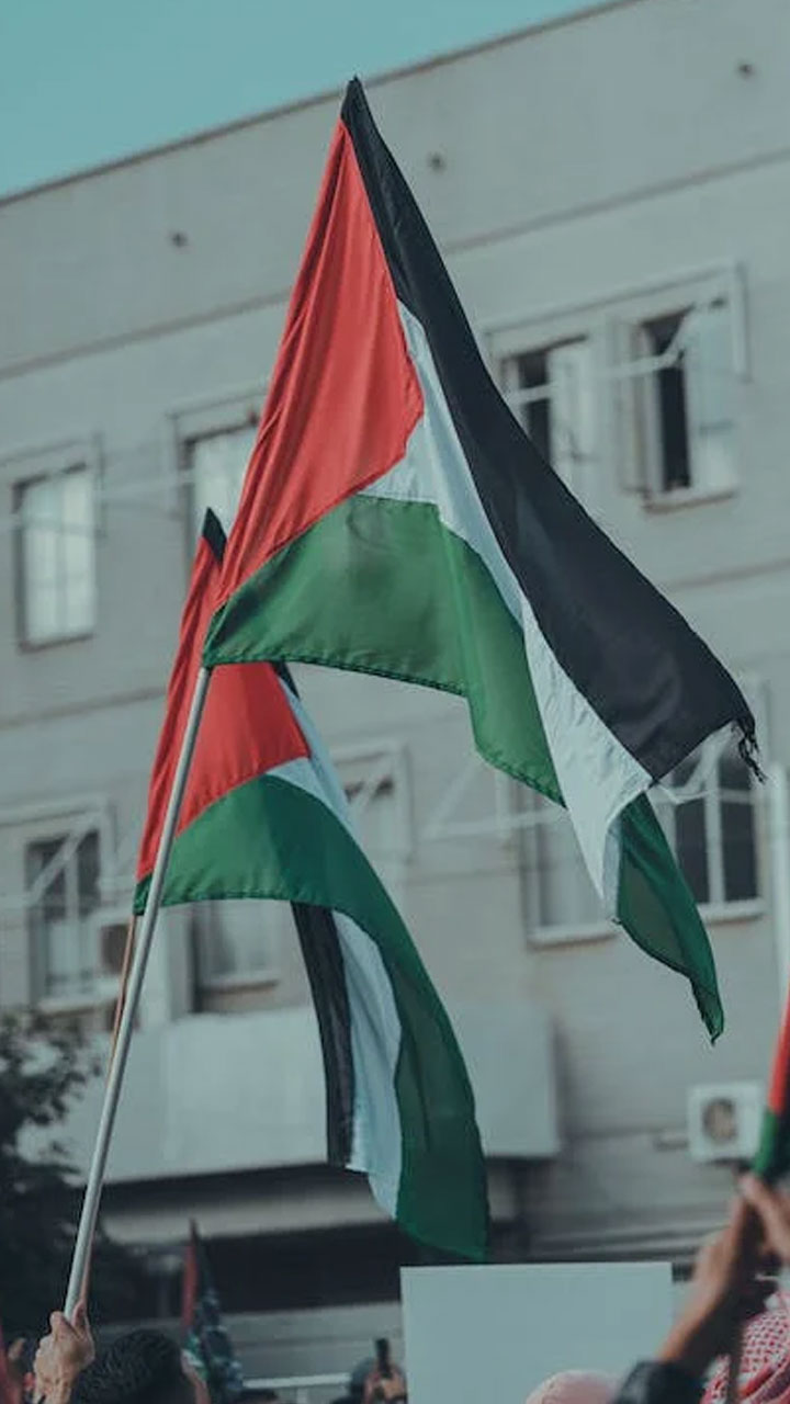 palestine flag