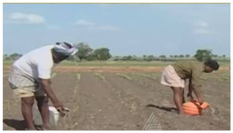 Ballari farmers not getting water for crops nbn