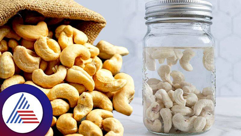 Benefits of having soaked cashew daily pav 