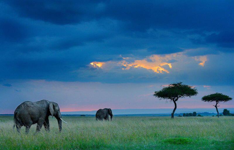 Interview with Wildlife Photographer of the Year 2023 Award Winner Vishnu Gopal bkg