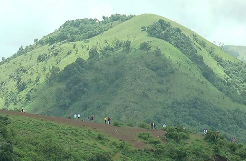 Report to Govt to declare Mullayanagiri as Protected Area at Chikkamagaluru gvd