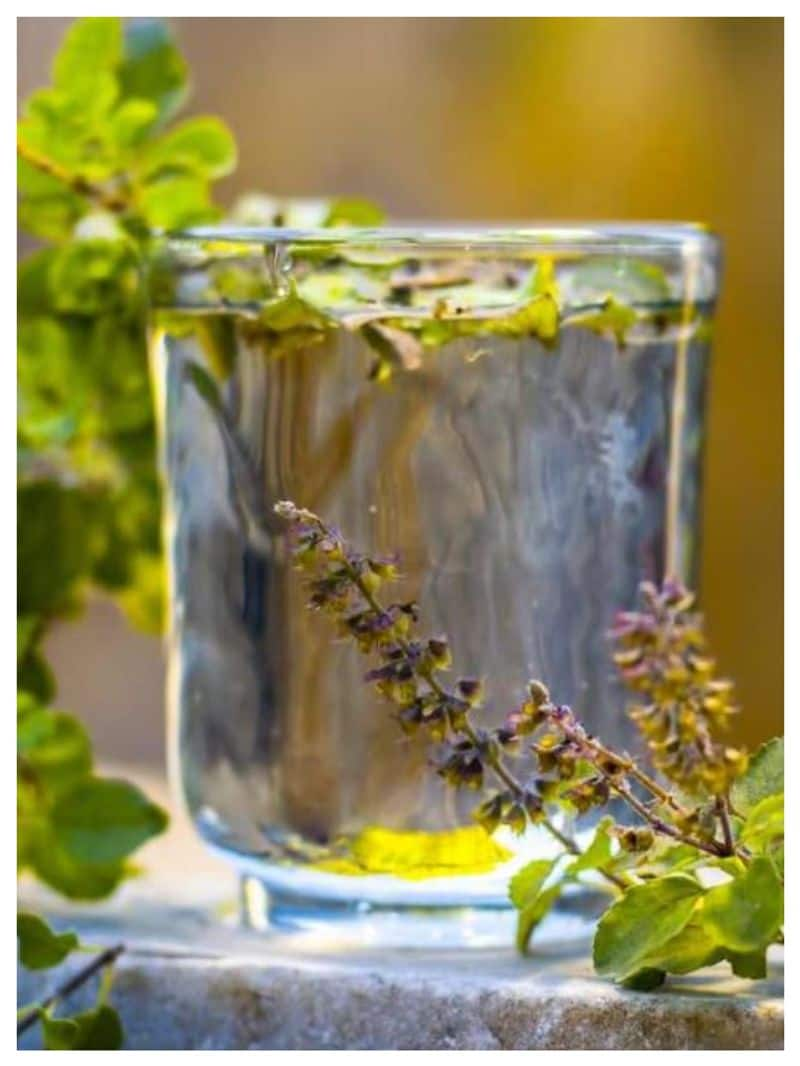 know the health benefits of drinking tulsi water-rse- 