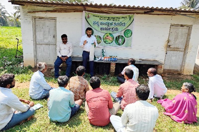 Suttur Nut borer control training in pea crop snr