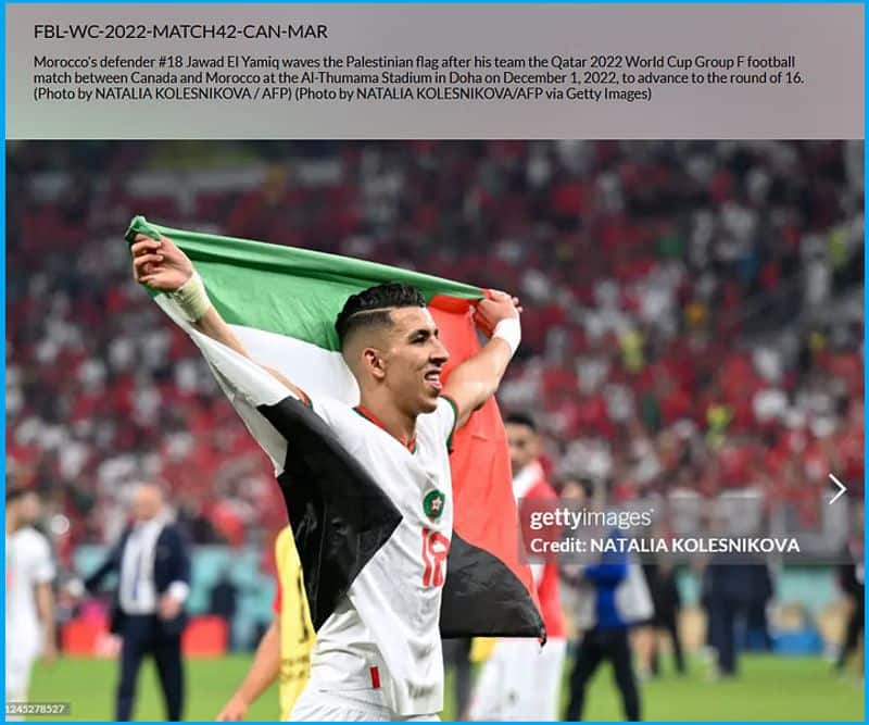 Fact Check: Has Cristiano Ronaldo pledged support to Palestinians amid Israel-Hamas war? Here's the truth snt