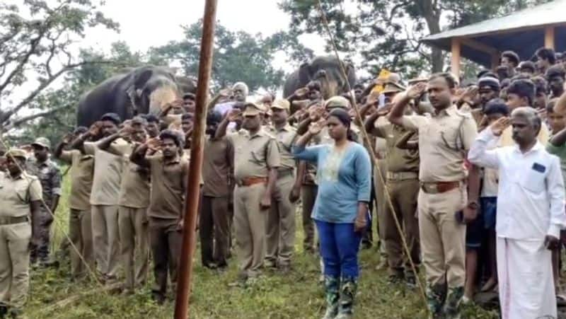 Death of Magna elephant which was kept at Mudumalai Theppakadu elephant camp-rag