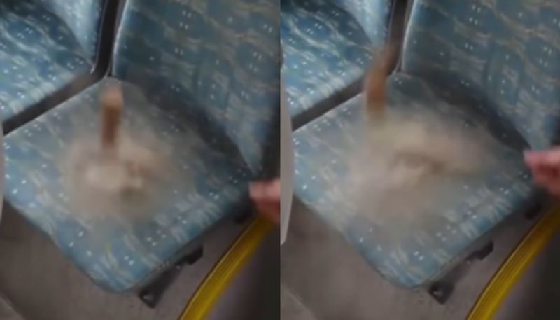 Viral Video Shows How Much Dust A Bus Seat Holds SSM