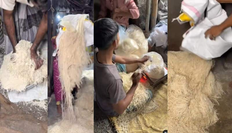 Viral video Of Noodle making process at factory is making the internet cringe azn 