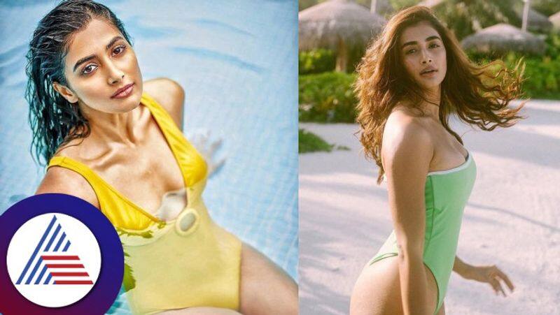 south actress pooja hegde bikini photos goes viral gvd