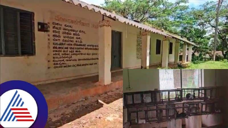 The state's first rabbit breeding center is a mess in sirsi at uttarak kannada rav