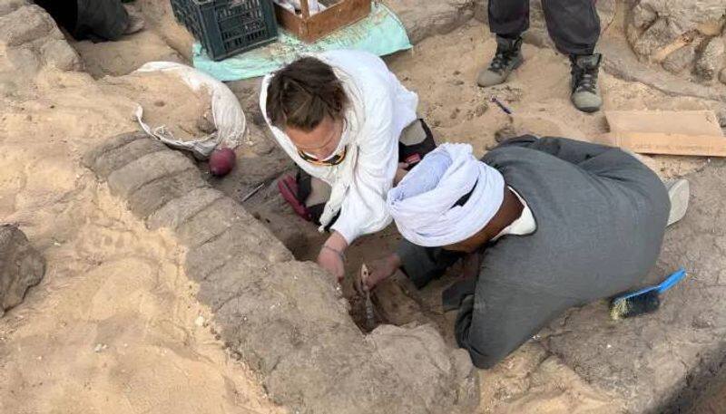 5000 year old wine found in Queen Meret Neith tomb Egypt rlp