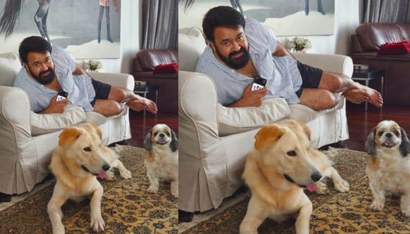 mohanlal poses with his pet dogs casper and whiskey viral pic nsn