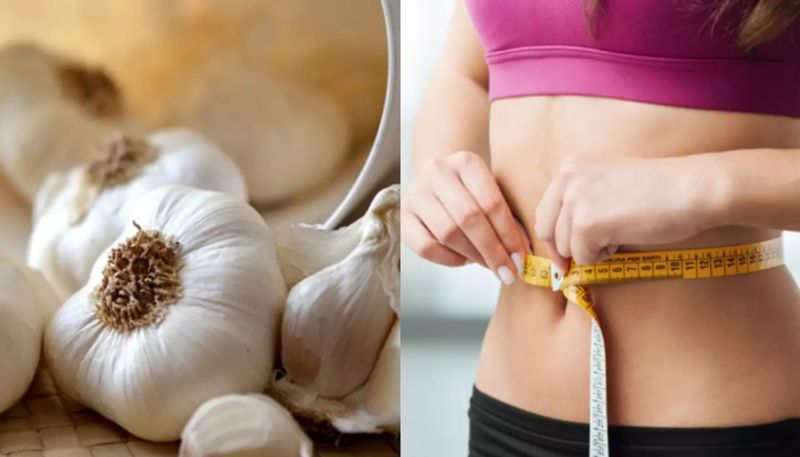 benefits of eating garlic for losing weight azn