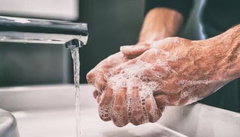 Just washing hands properly say good bye to many disease what experts say about it ans