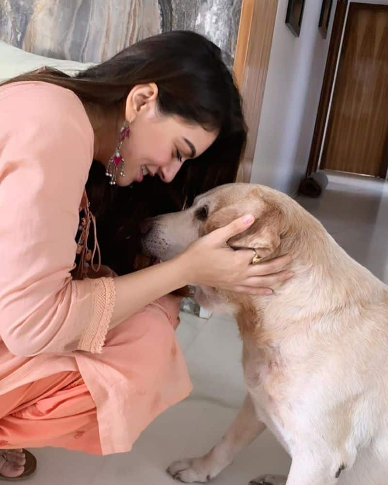 Hansika dog death