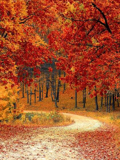 Great Smoky Mountains