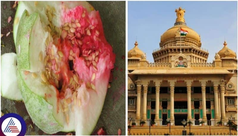 Karnataka government ban kumkum turmeric and rangoli in hindu culture dasara festival sat