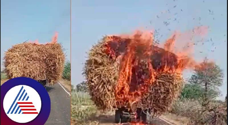 Dry fodder burned in the tractor after hitting the electric wire at vijayanagar rav