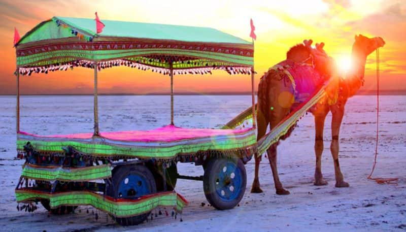 Amazing Dhordo in PHOTOS: Why PM feels Kutch village is a must-visit tourist destination