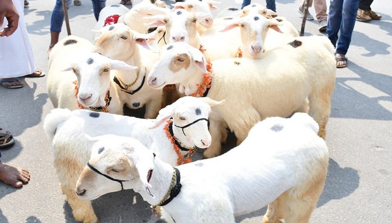 Raita Dasara Held During Dasara Festival in Mysuru grg