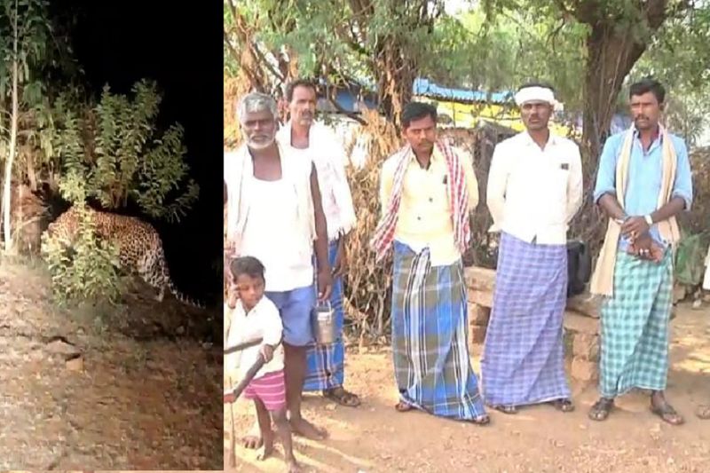 The people of Chikkagondanahalli village were moved by the sight of the leopard gvd