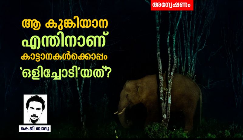 What is the truth of the news that Kunki Aana Srinivasan escaped with the wild Elephants bkg