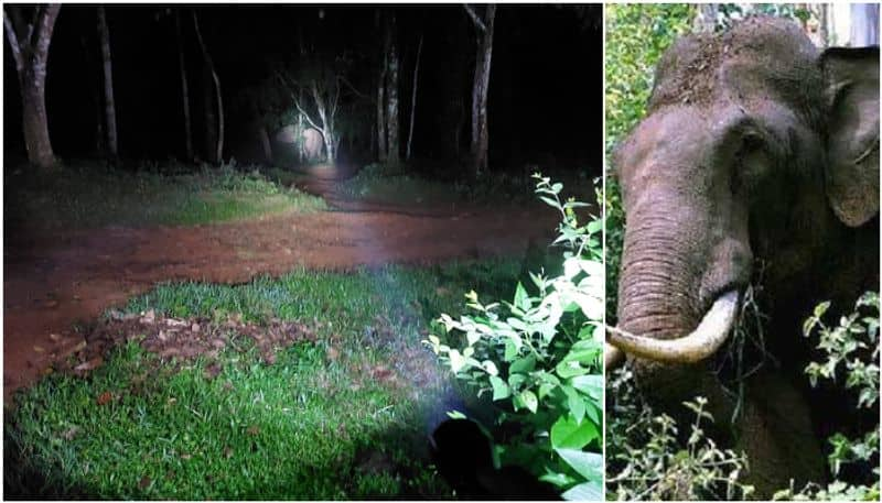 old lady killed by forest elephant at erode district vel