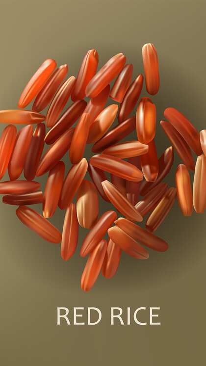Red rice