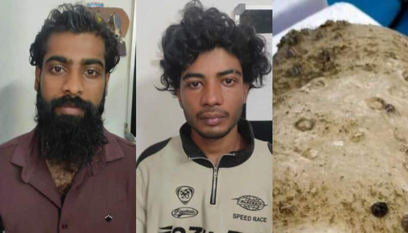 ambergris worth crores seized in Kochi, two arrested